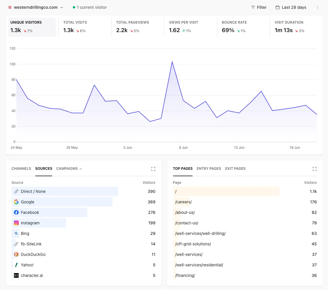 Website analytics showing 1.3K visitors with traffic source breakdown